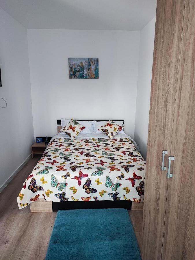 Apartament In Buzau 아파트 외부 사진